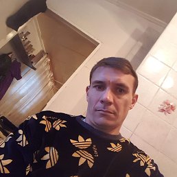 , 37, 