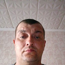 , 41, 