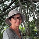 ���� ������, ������, 67 ��� - ��������� 29 ������� 2024 � ������ ���� ����������