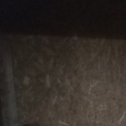 , , 29 