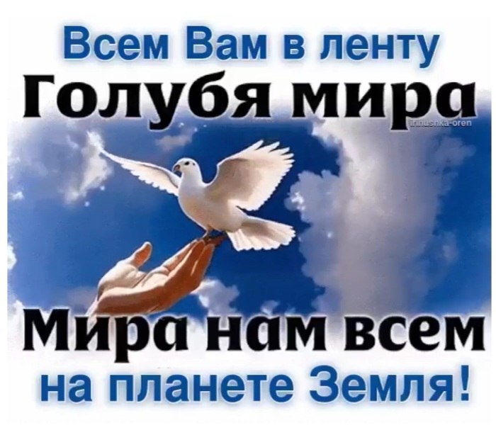  - 7  2025  19:05