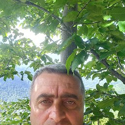 , 48, 