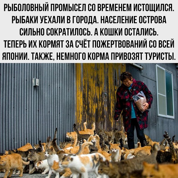   - 20  2025  02:48 - 5