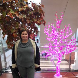 ���� ����, ������, 59 ��� - ��������� 31 ������ 2026