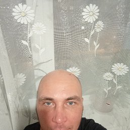 , 40 , -