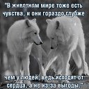  , , 59  -  3  2024   