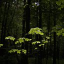 ���� �������, ������ - ��������� 17 �������� 2026 � ������ ������ ��������