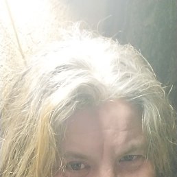 ���� Wild Cat, ��������, 54 ���� - ��������� 22 ������ 2024