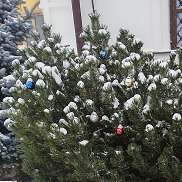 ������, 48 ���, ������