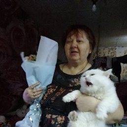 , 61, --