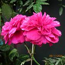 ���� ������, ��������� - ��������� 9 ������ 2025 � ������ ������ �� �����