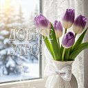 ���� �������@, �������� - ��������� 17 ����� 2026 � ������ ������ ��������