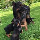 ���� Sergey, �������, 46 ��� - ��������� 29 ������ 2024