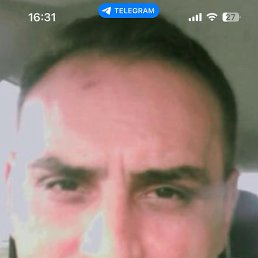 , 44, 