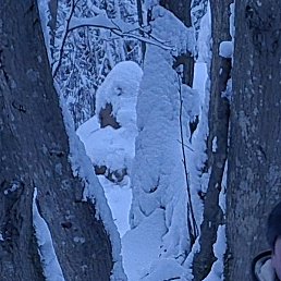 ����, ����, 49 ���