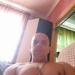, 41, 