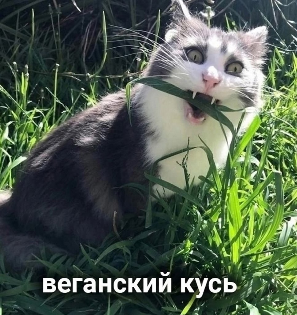 Все кусь прекрасны - 2