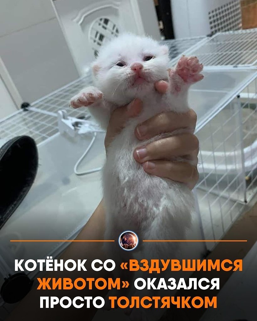 oa caac, o e o oo,  cpoo oea  eepap. o  oa e ...