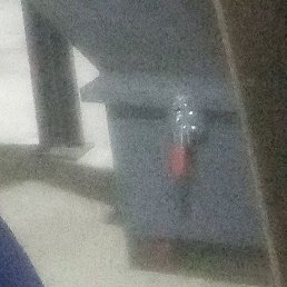 ������, ������, 65 ���