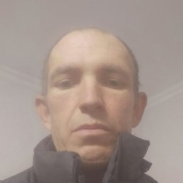 �����, �����, 46 ���