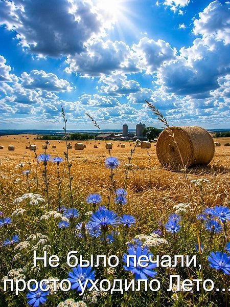 ����� - 21 ������� 2026 � 09:43