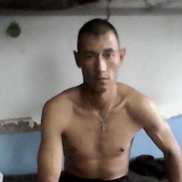 ����, 39 ���, �����������