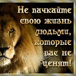 Lev, ������, 35 ���