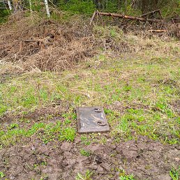 ���� �����, ������, 42 ����