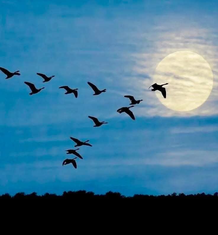 :)       ?!       ,   ...