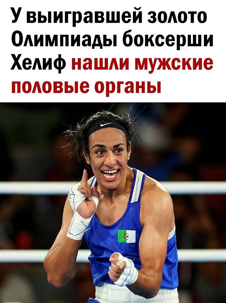  - 8  2024  11:19