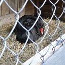 ���� ���������, ���� - ��������� 9 ���� 2024 � ������ ������ ��������