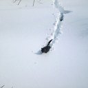 ���� ������, ������������ - ��������� 12 ������ 2025 � ������ ������ ��������