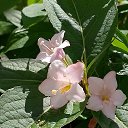 ���� �����, ��������� - ��������� 28 ������ 2025 � ������ ���� ����������