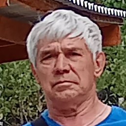 �����, ����, 65 ���