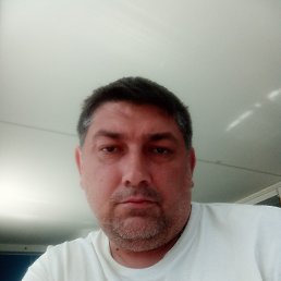 , 38, 