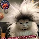 ���� ������, ������, 29 ��� - ��������� 27 ������� 2023 � ������ ���� ����������