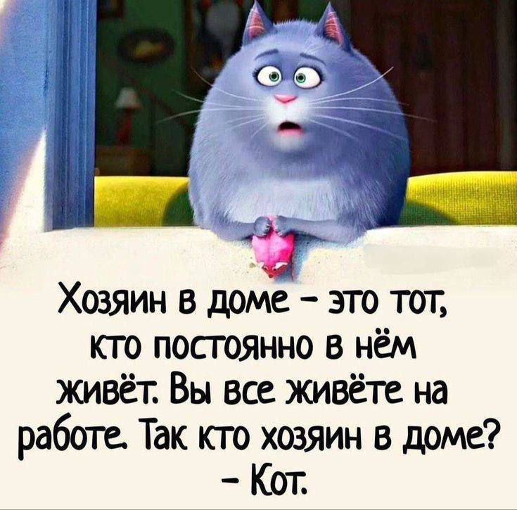   ,    . - 6  2025  20:24