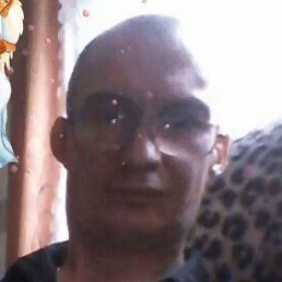 , , 44 