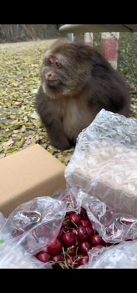 ��� �������� ����� ����������� � �� ������ ������