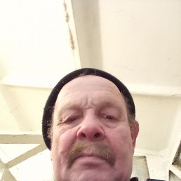 , 66 , 