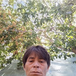 , 41 , 