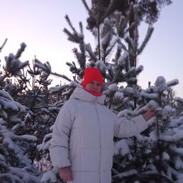 ���� ������, �������, 57 ��� - ��������� 2 ������ 2024