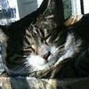 ���� ��������, ����������, 63 ���� - ��������� 22 ������ 2025 � ������ ������ ��������