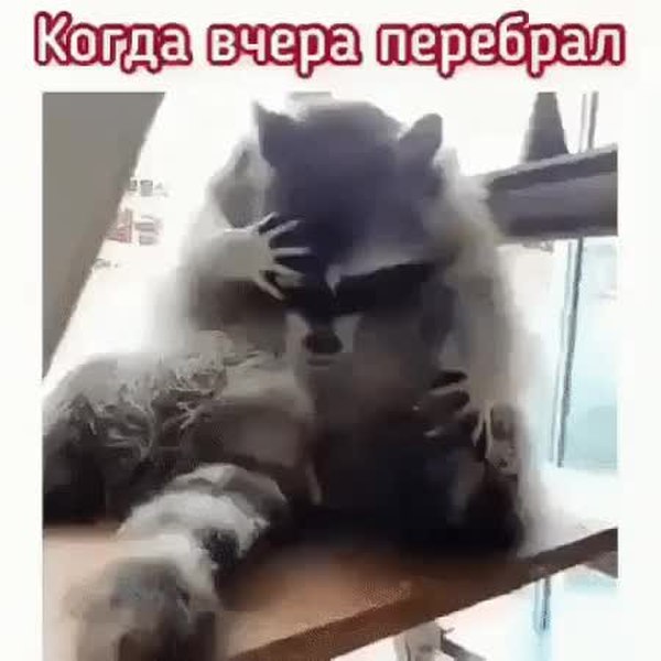 GIF Preview