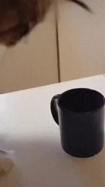 GIF Preview