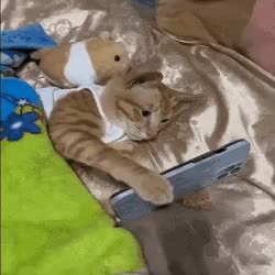 GIF Preview