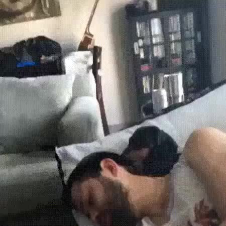 GIF Preview