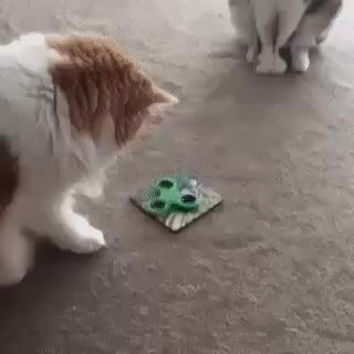GIF Preview