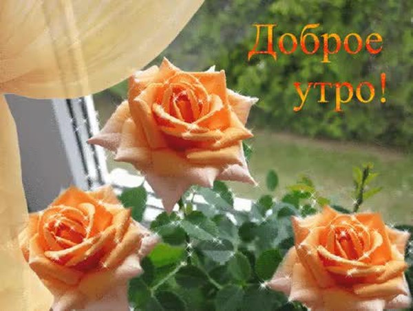 Доброе Утро С Оранжевыми Детьми Картинки Красивые