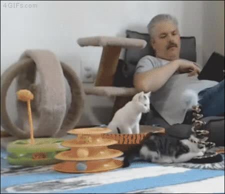 GIF Preview
